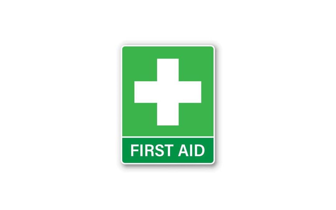 First Aid Certificate – HSE compliant 3 year certificate with Emma – September