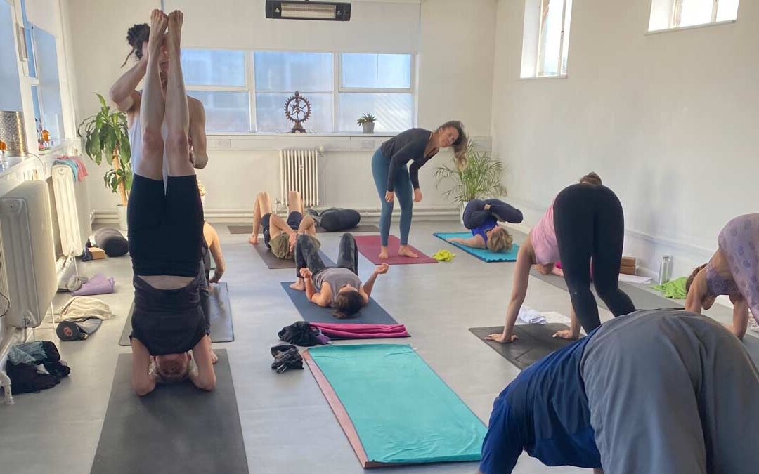 ASHTANGA YOGA INTENSIVE