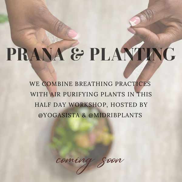 Prana & Planting Workshop - Lynette Greenaway & Jaqueline Winston-Silk