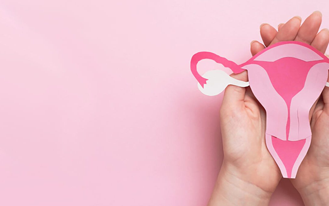 POWER UP YOUR PELVIC FLOOR